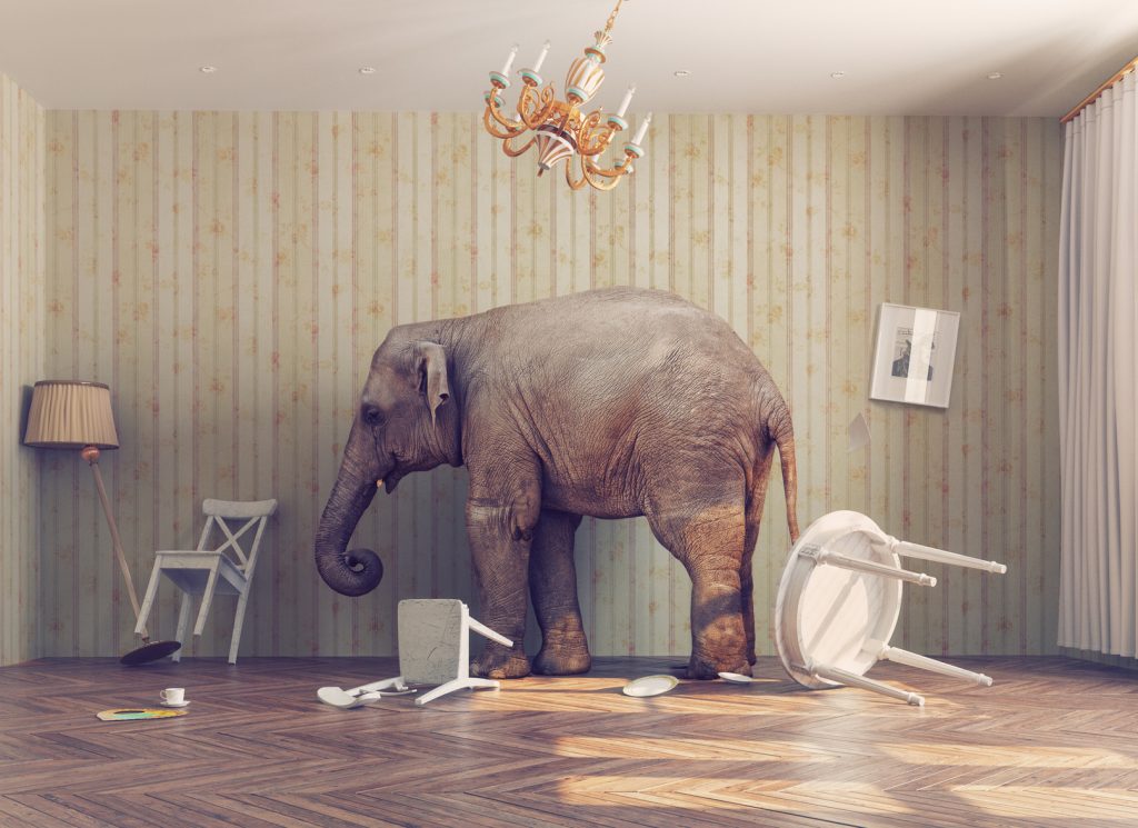 Elephant in the Room Part Two Rutz Consulting
